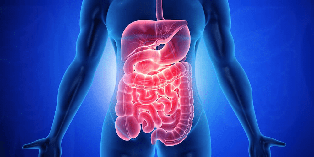 Gastroenterology & Hepatology